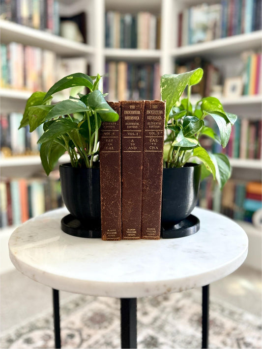 Planter Bookend set