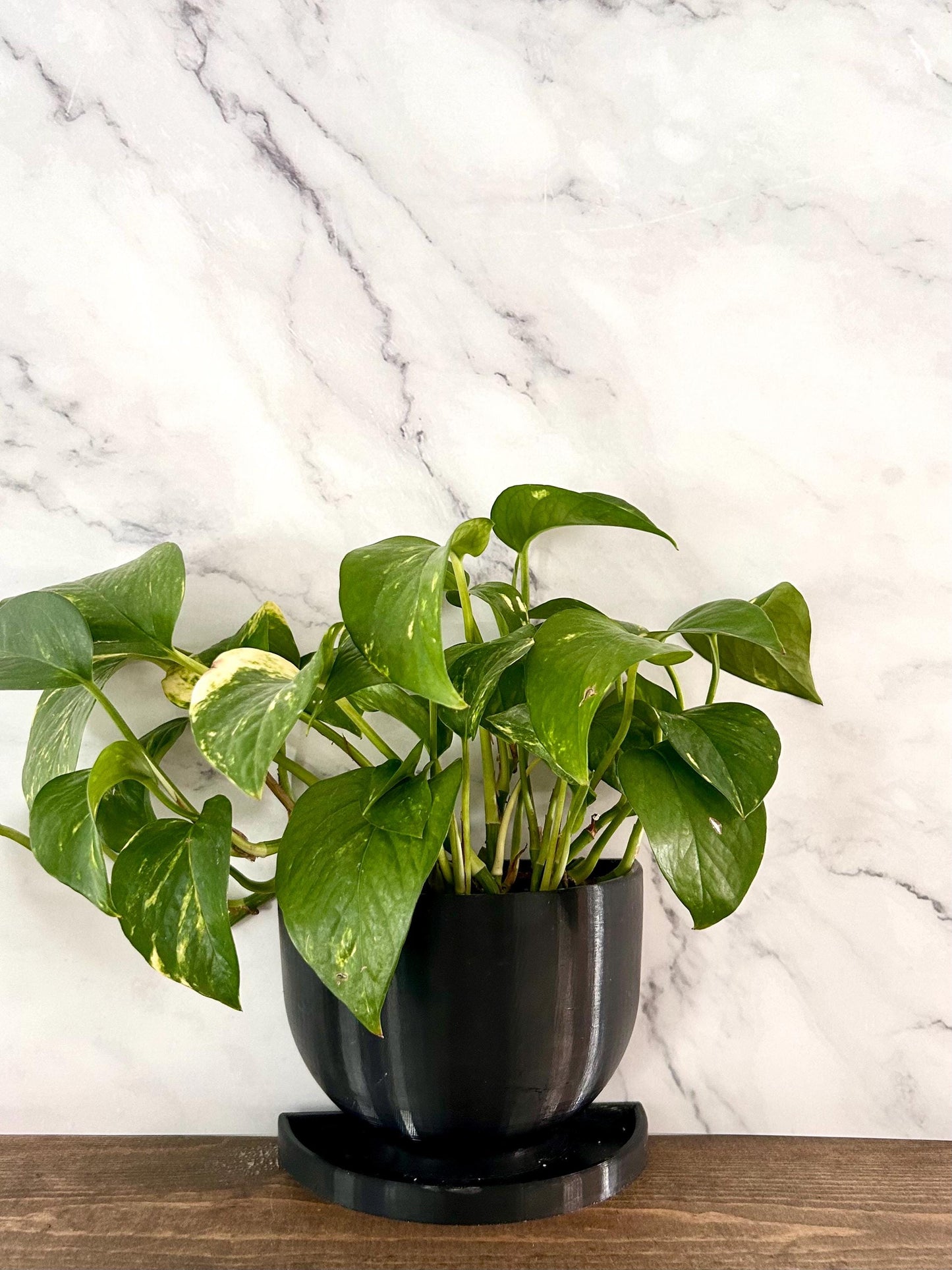 Planter Bookend set