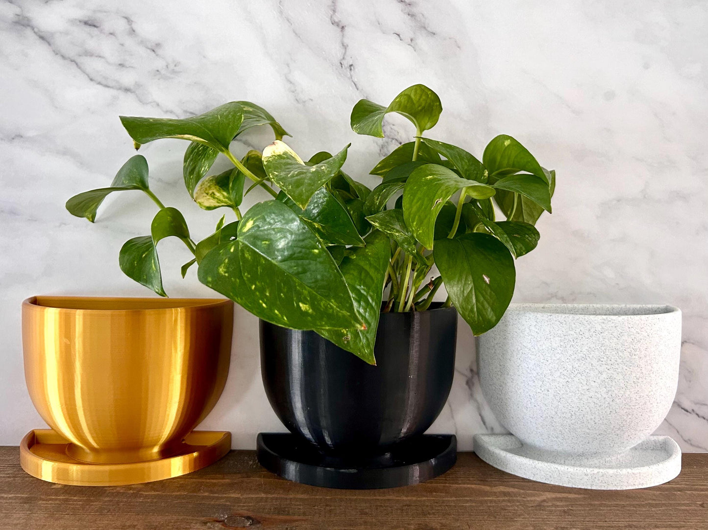 Planter Bookend set