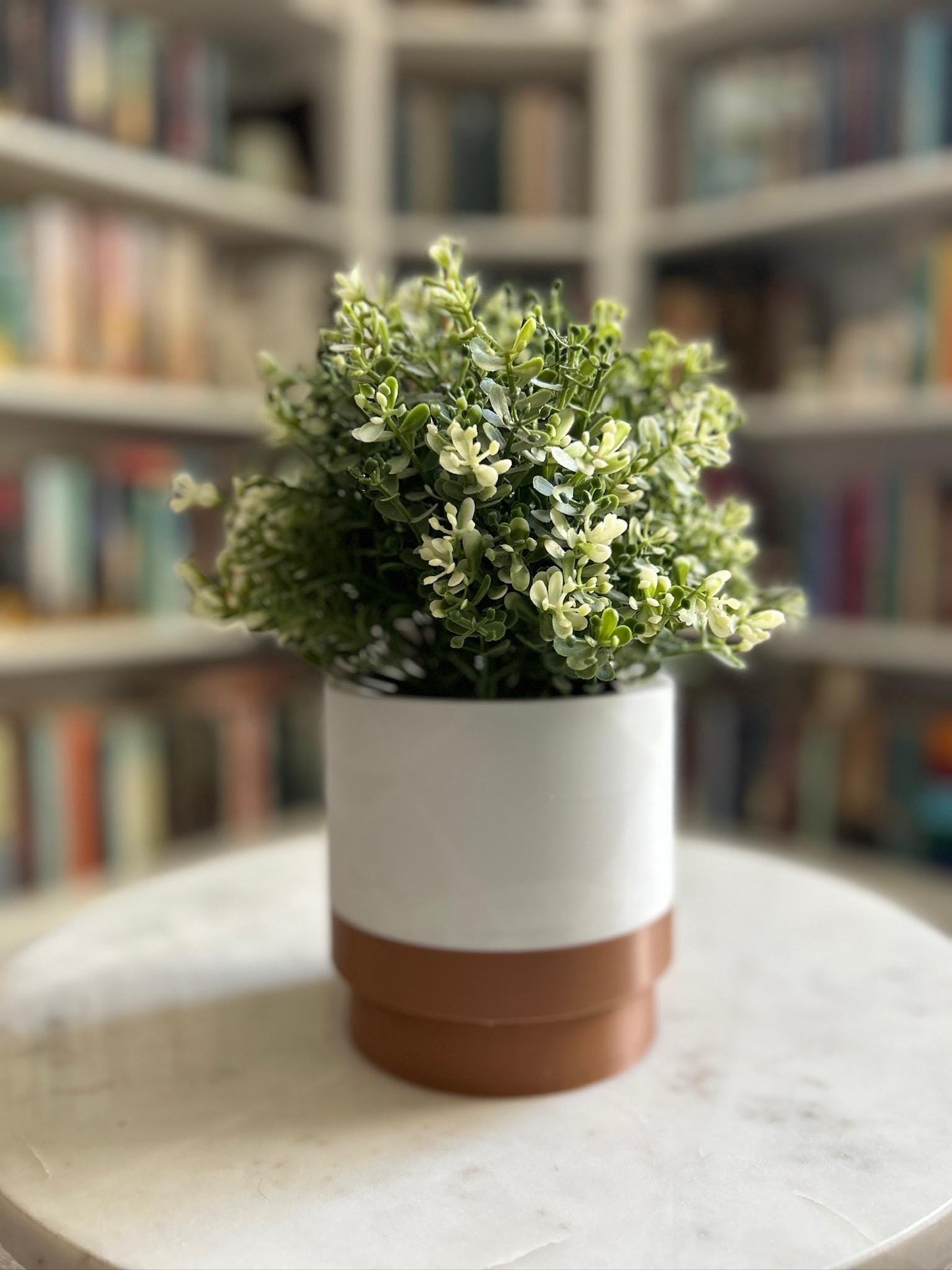 6” INDOOR PLANTER & SAUCER|Drainage Hole|Plant Pot Drip Tray|Water Wick|Decorative Planter|Indoor Plants|2 Tone Pot|Plant Pot|Custom Pot