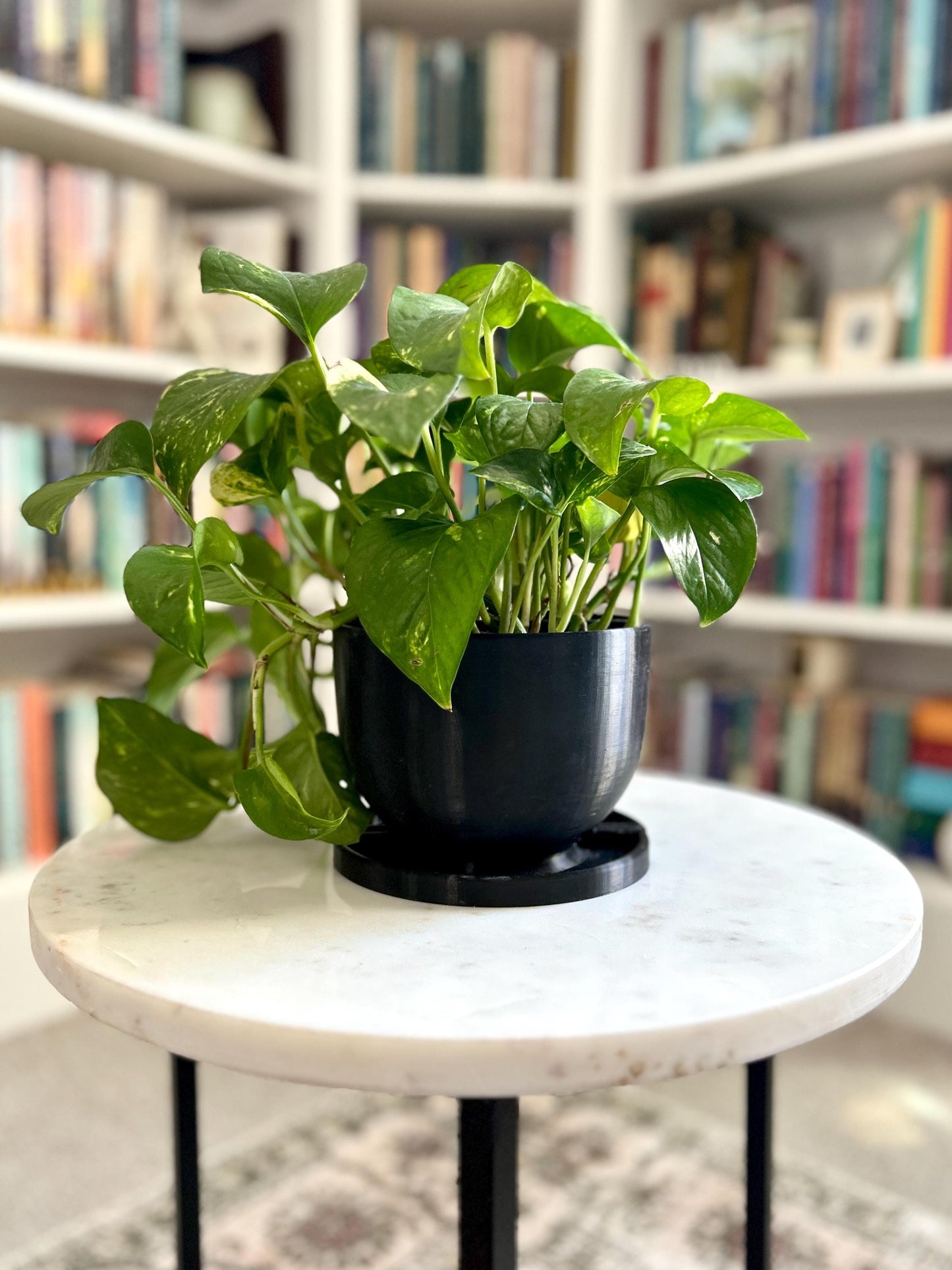 Planter Bookend set