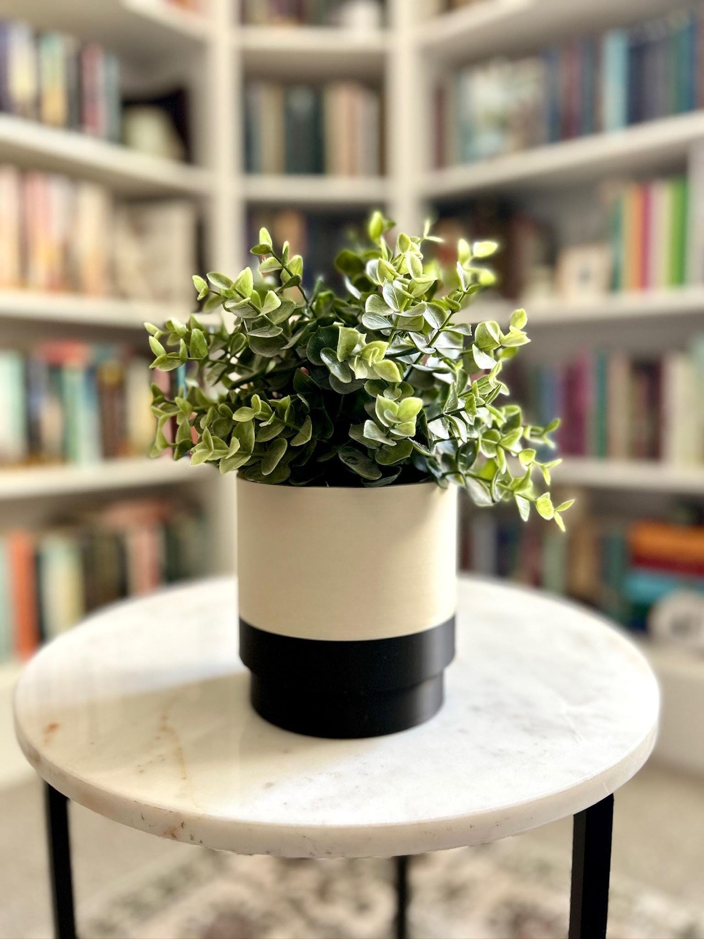 6” INDOOR PLANTER & SAUCER|Drainage Hole|Plant Pot Drip Tray|Water Wick|Decorative Planter|Indoor Plants|2 Tone Pot|Plant Pot|Custom Pot